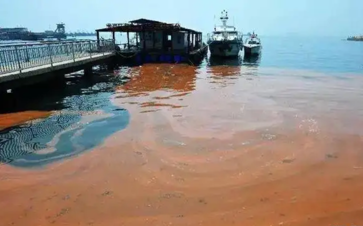 福建发生“赤潮”现象，大量鱼虾中毒死亡，难道是新的自然灾难？