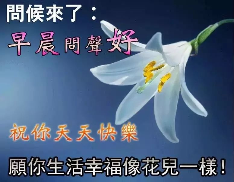 清晨早上好祝福图片 早安问候祝福图片带字 繁花似锦、发财顺心图片