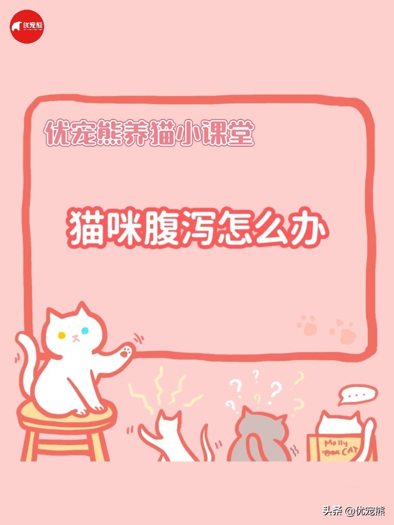 猫咪拉肚子最快应对方法科普
