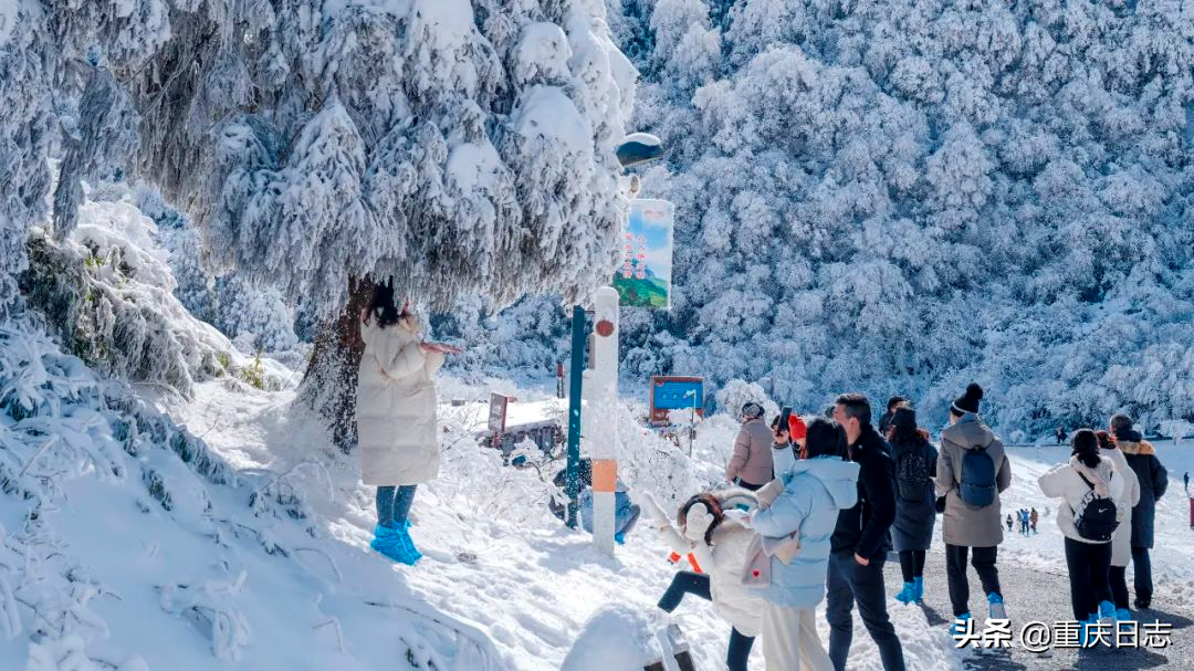 全民上冰雪，助力冬奥会！金佛山滑雪享特价，延续冰雪运动激情