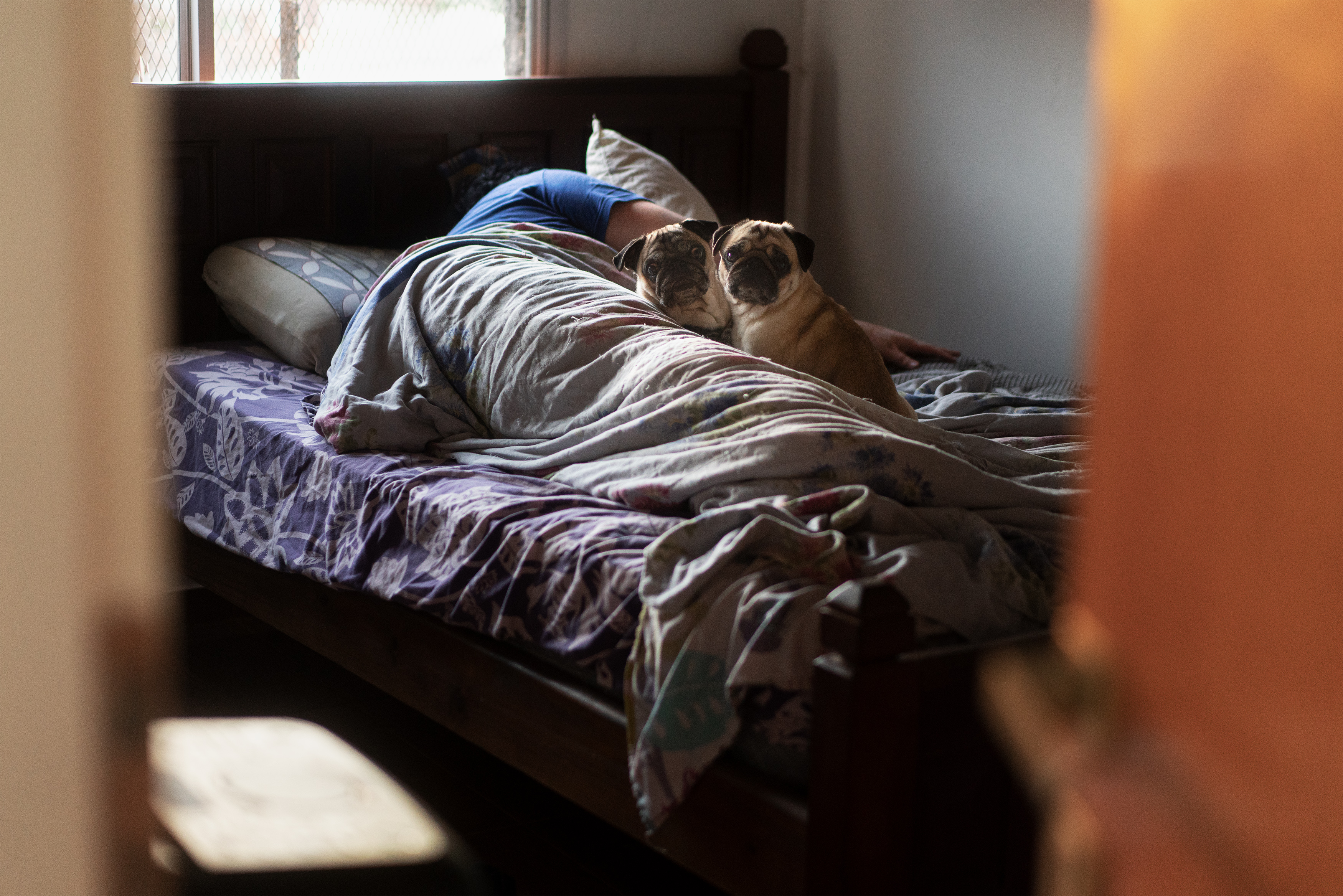 2022索尼世界摄影大赛学生组，中国摄影师剑指冠军