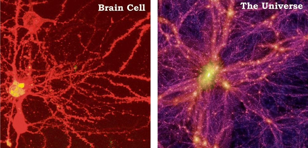 人类的思维意识，诞生于分子层面还是量子层面？