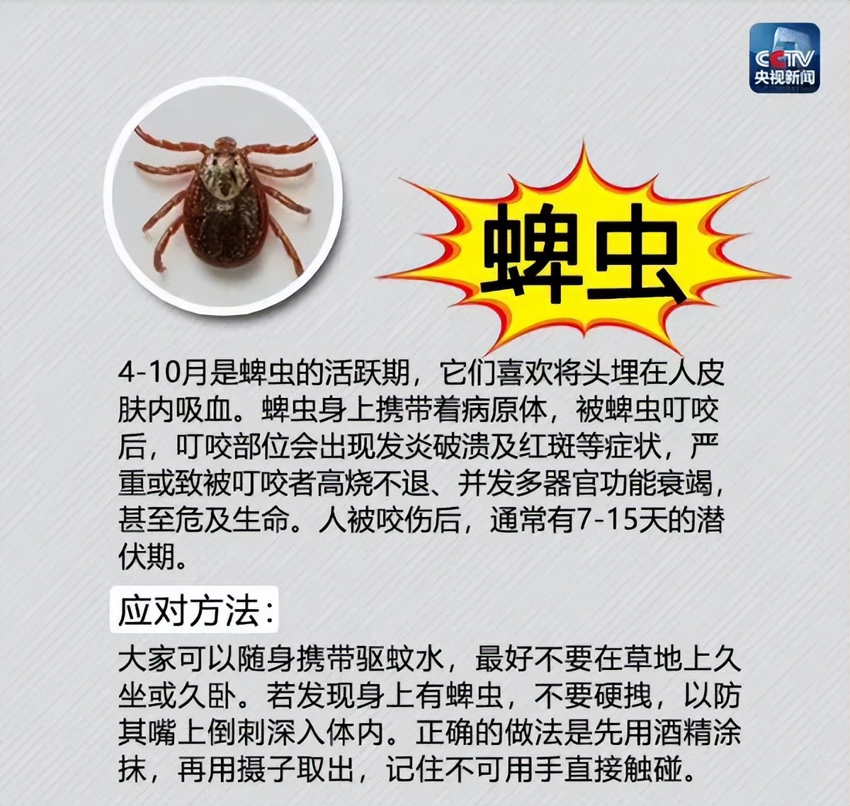 夏季蚊虫出没,这份最全防虫手册及应对方法请收好!