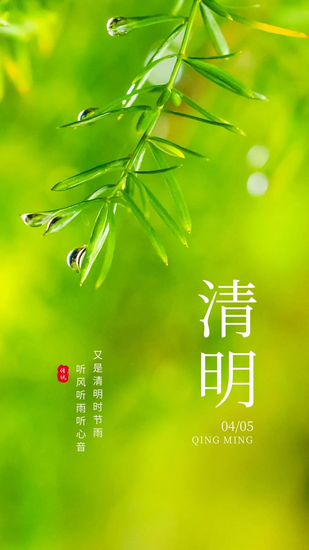 4月5日清明时节早晨问候暖心句子 人间四月芳菲始、春归清明雨是时图片