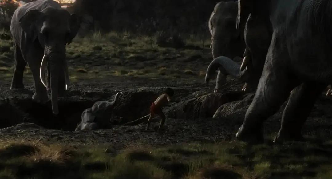 奇幻森林（电影）