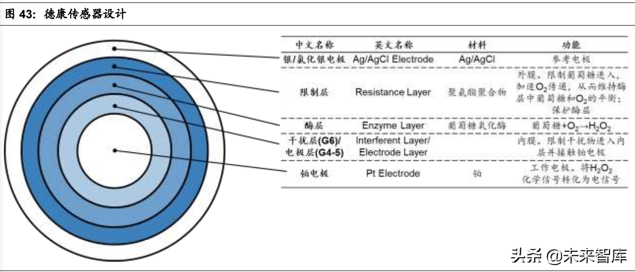 医疗器械之血糖监测行业深度研究：技术迭代，市场广阔