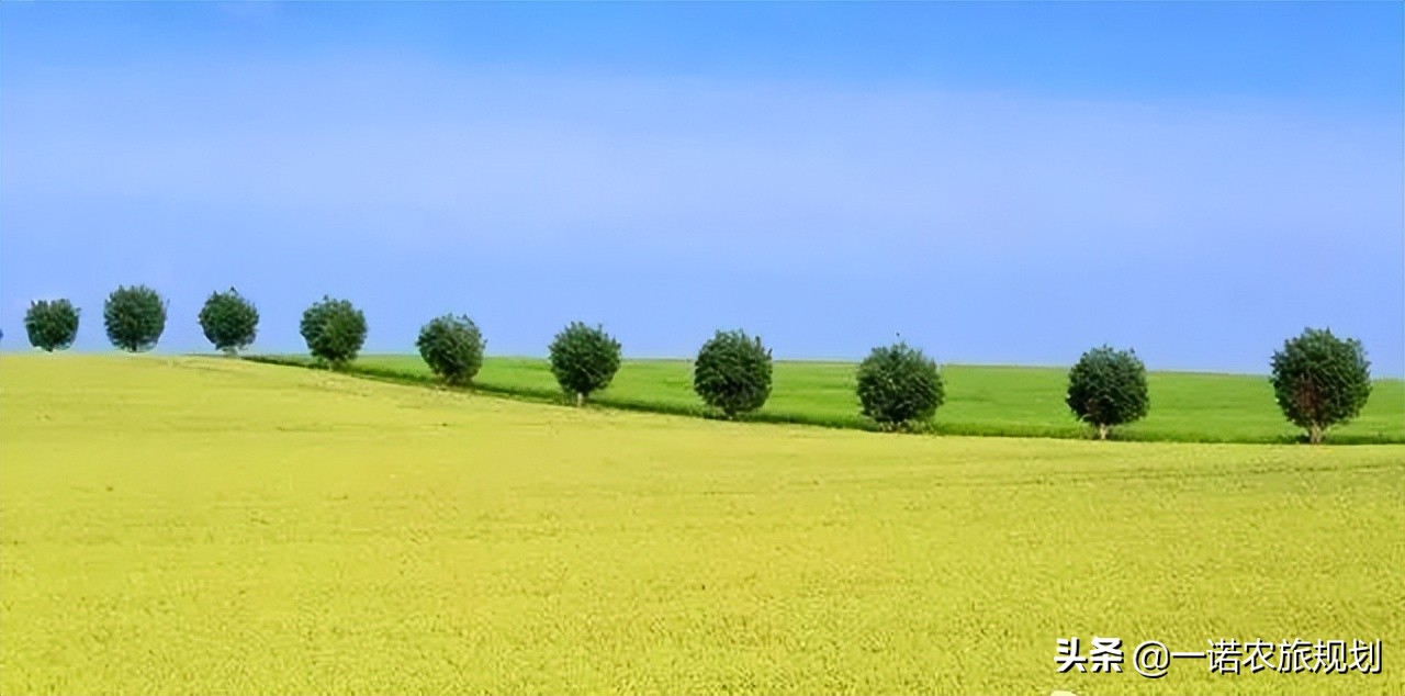 “農(nóng)業(yè)+文化+旅游+康養(yǎng)+地產(chǎn)”，疫情后中國(guó)重要投資方向