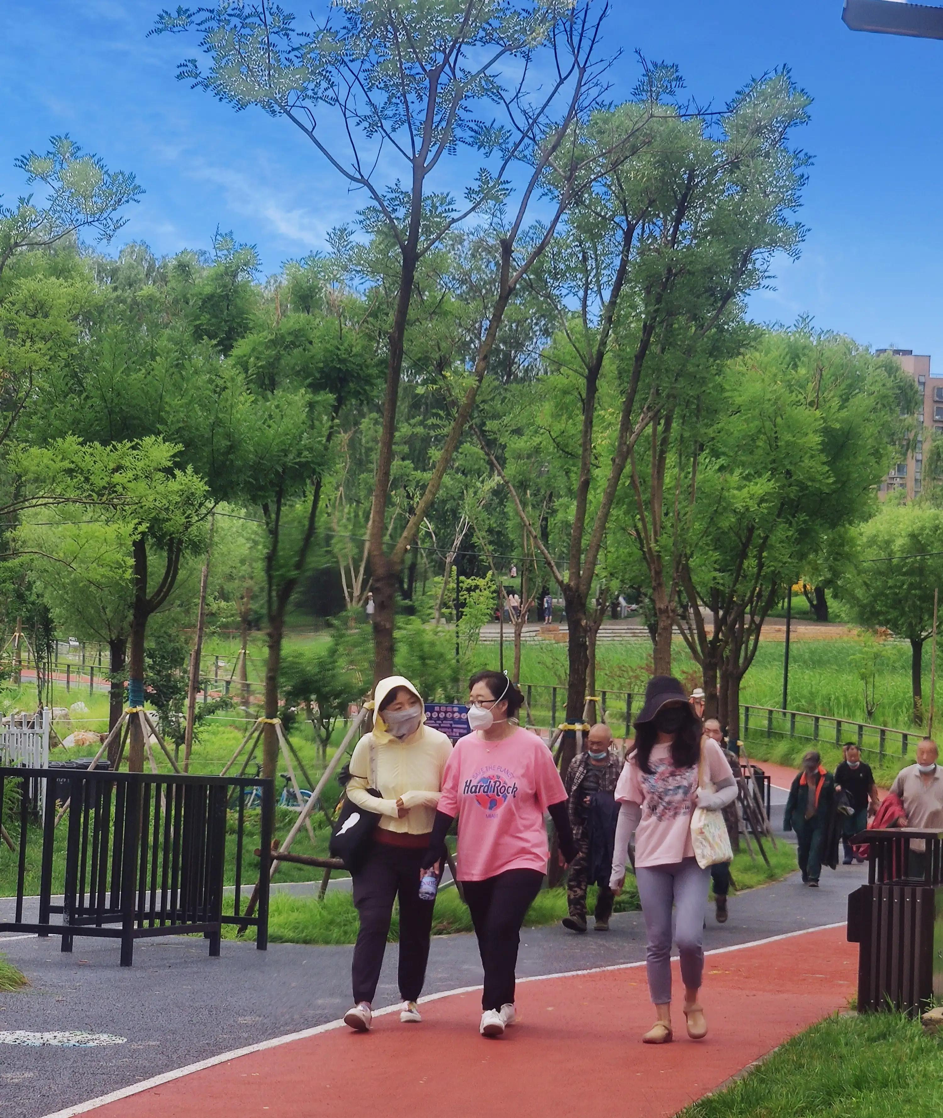 霍营公园,这才叫天籁之音