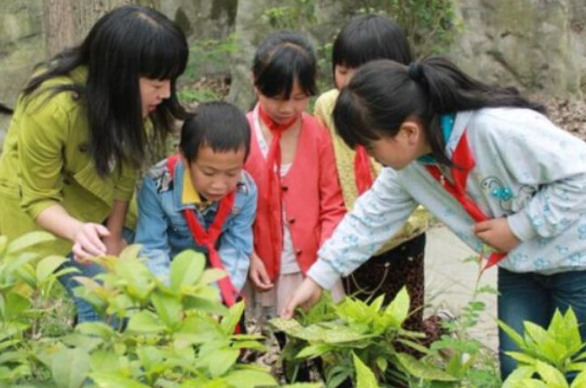 春节后将迎来“新假期”，在校学生或再迎6天长假？官方回复来了