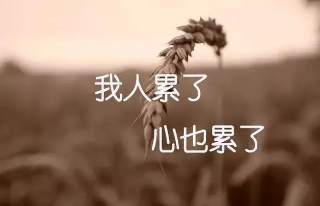 人的一生，太短、太苦、太累，请对自己好一点
