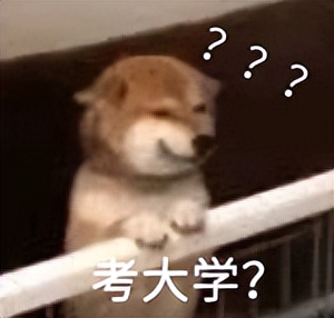 在殡葬专业上课，每天认真学习如何把人送走