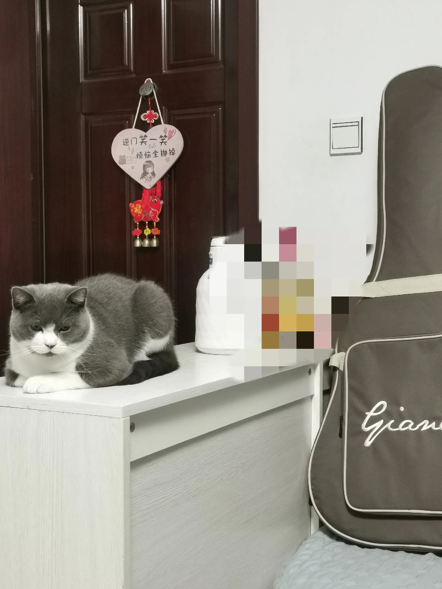 乖巧可爱的小猫咪(有一只乖巧懂事可爱的小猫咪是什么感受？)