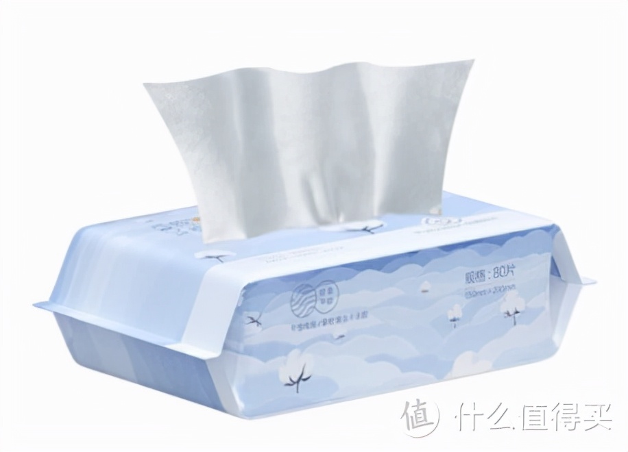 关于春运回家的文章（春节期间返乡途中心情）