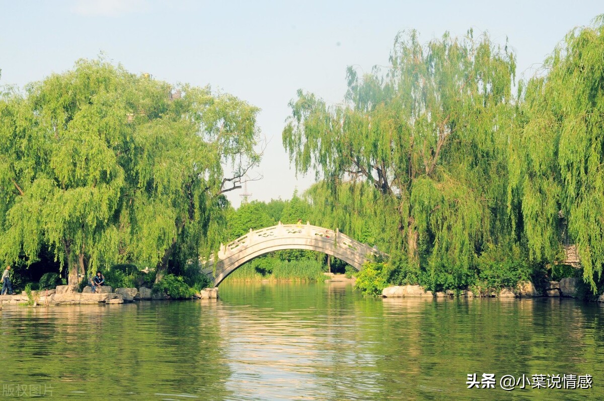 你要知道，爱情是靠自己努力争取的