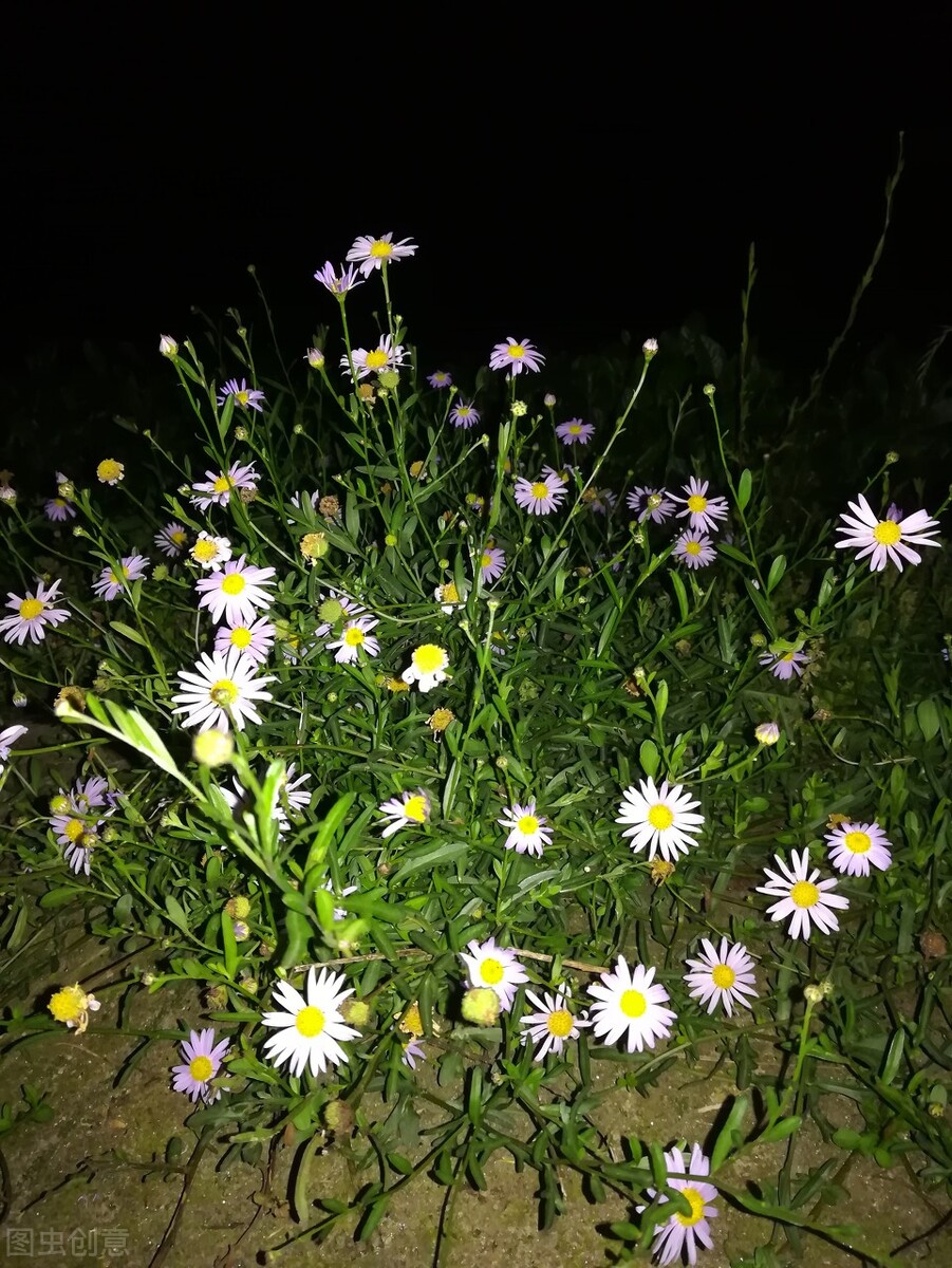 如何能让文章的题目更吸引人注意？让你写出爆款