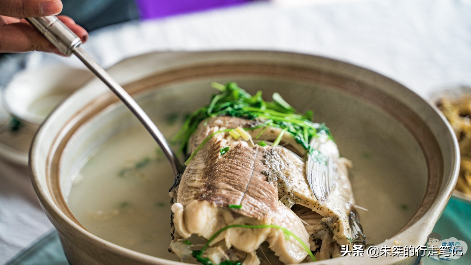 安徽五大著名美食，每一款都包含丰富的历史典故，人文气息浓厚