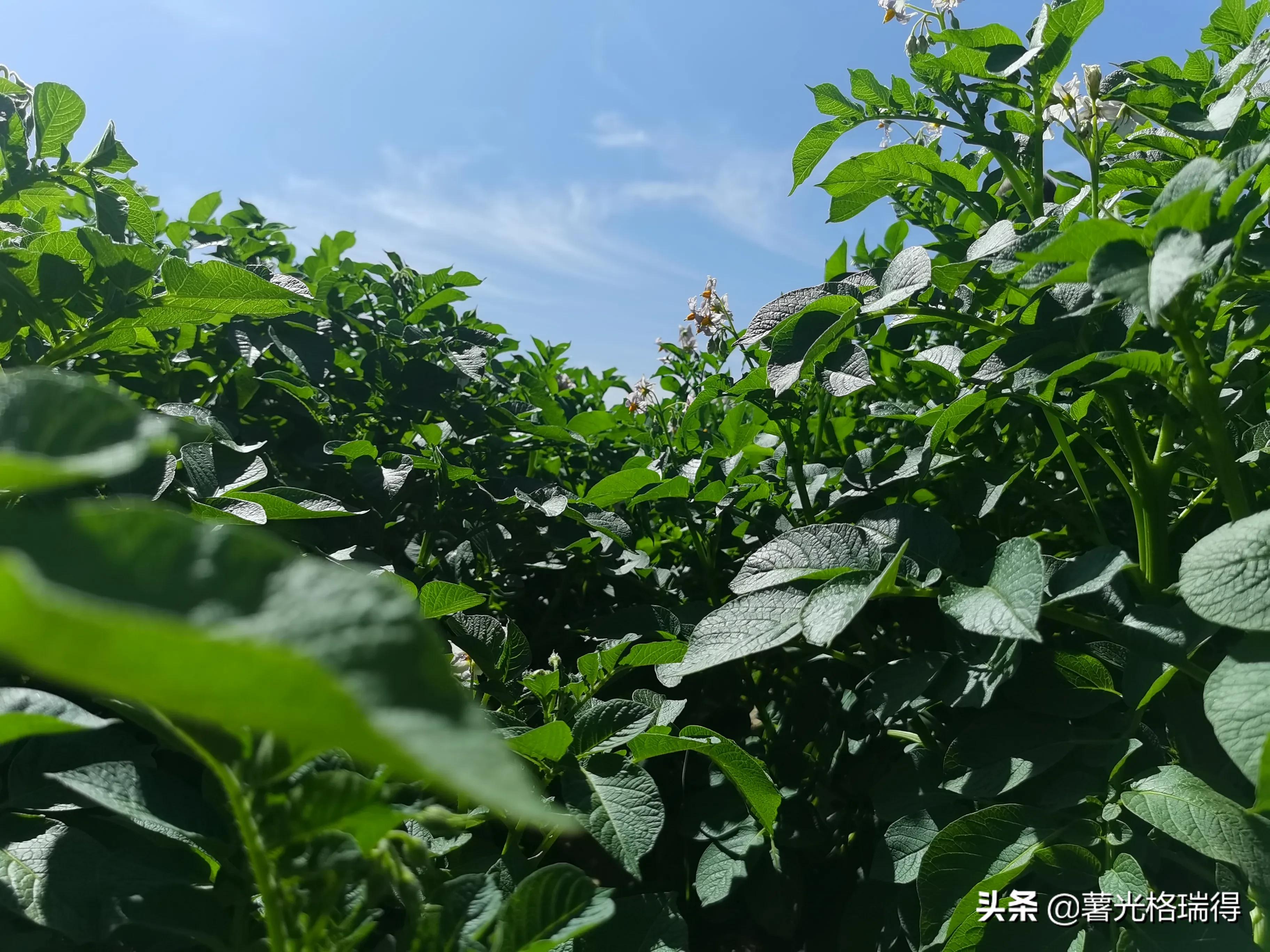 2021年工作感悟：在挑战中成长，在坚持中前行