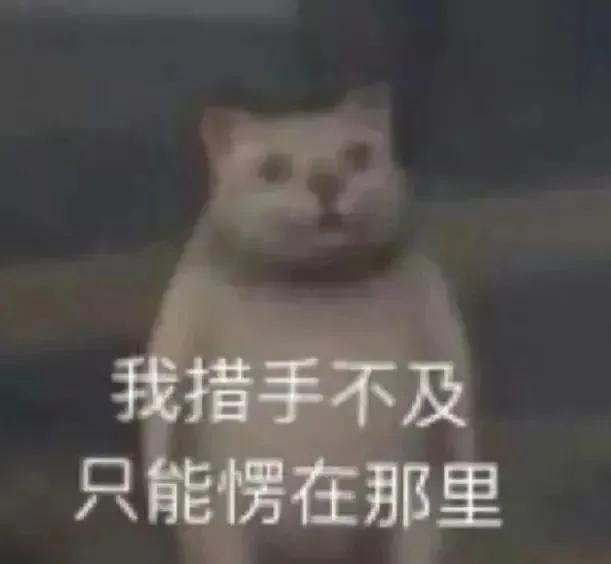 下周可以上七天班