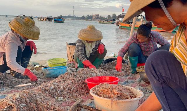 海南印象：女人太能干了，海边晒的大鱼干你认识吗？