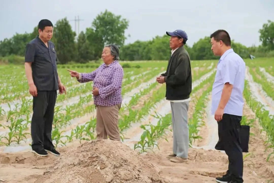 合水县 推进移风易俗 深化乡村治理