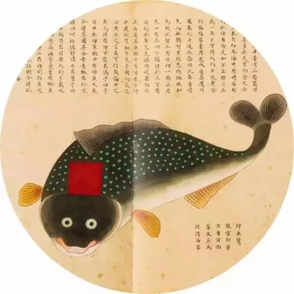 《海错图》中“鮣鱼”的印子为什么是红色的？