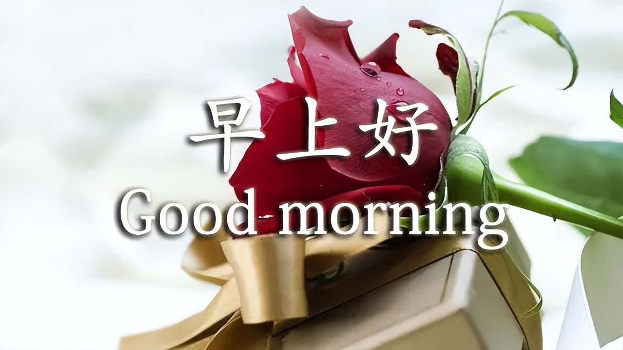 微信朋友圈非常美丽的早上好问候语图片 愿你平安幸福 天天好心情图片