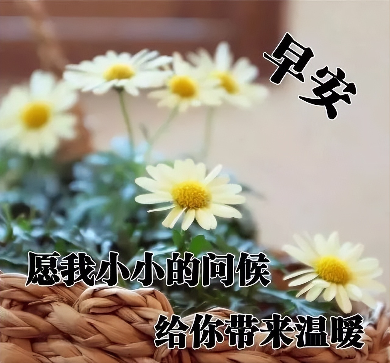 早上好温馨动态图片表情包 美好的今天带给你满满的幸福与快乐图片