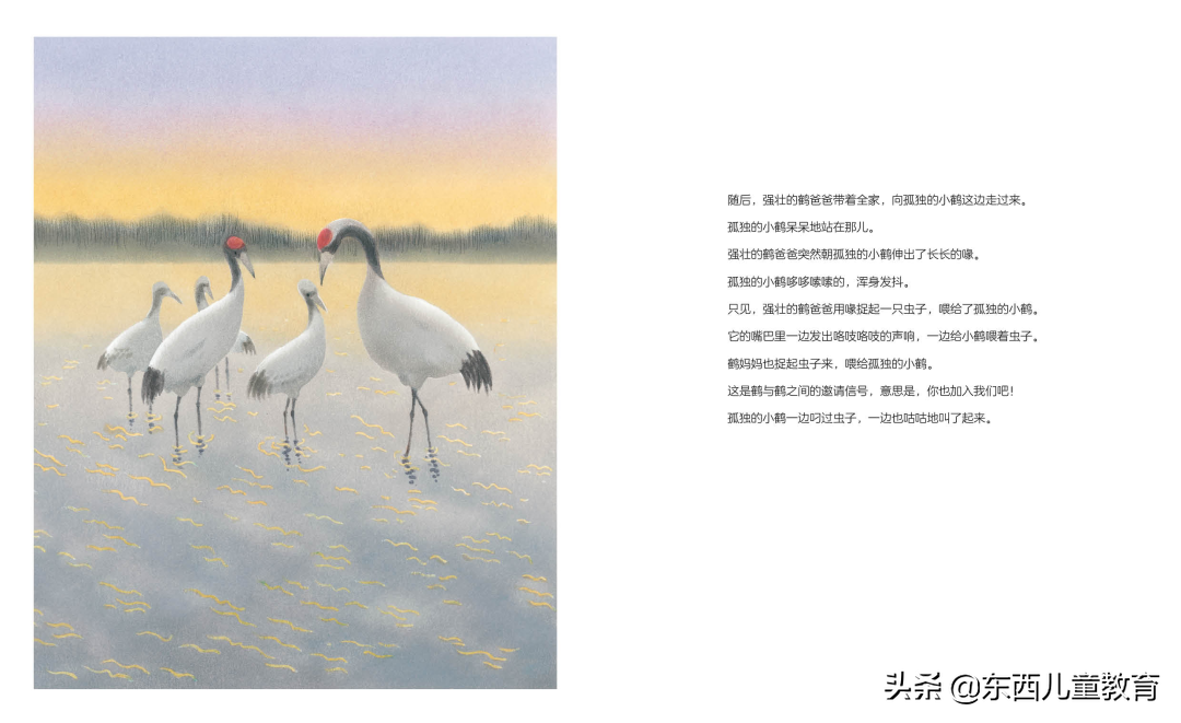 圣诞节没有惊喜（圣诞节给什么惊喜给她）
