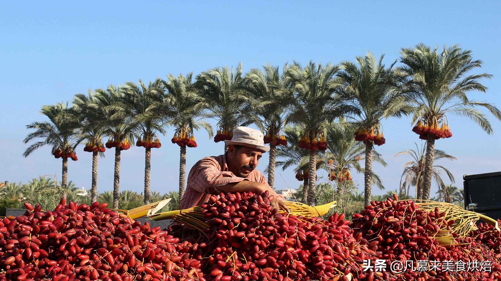 全球30个主要国家代表性美食是什么？通过美食了解各国文化与风俗