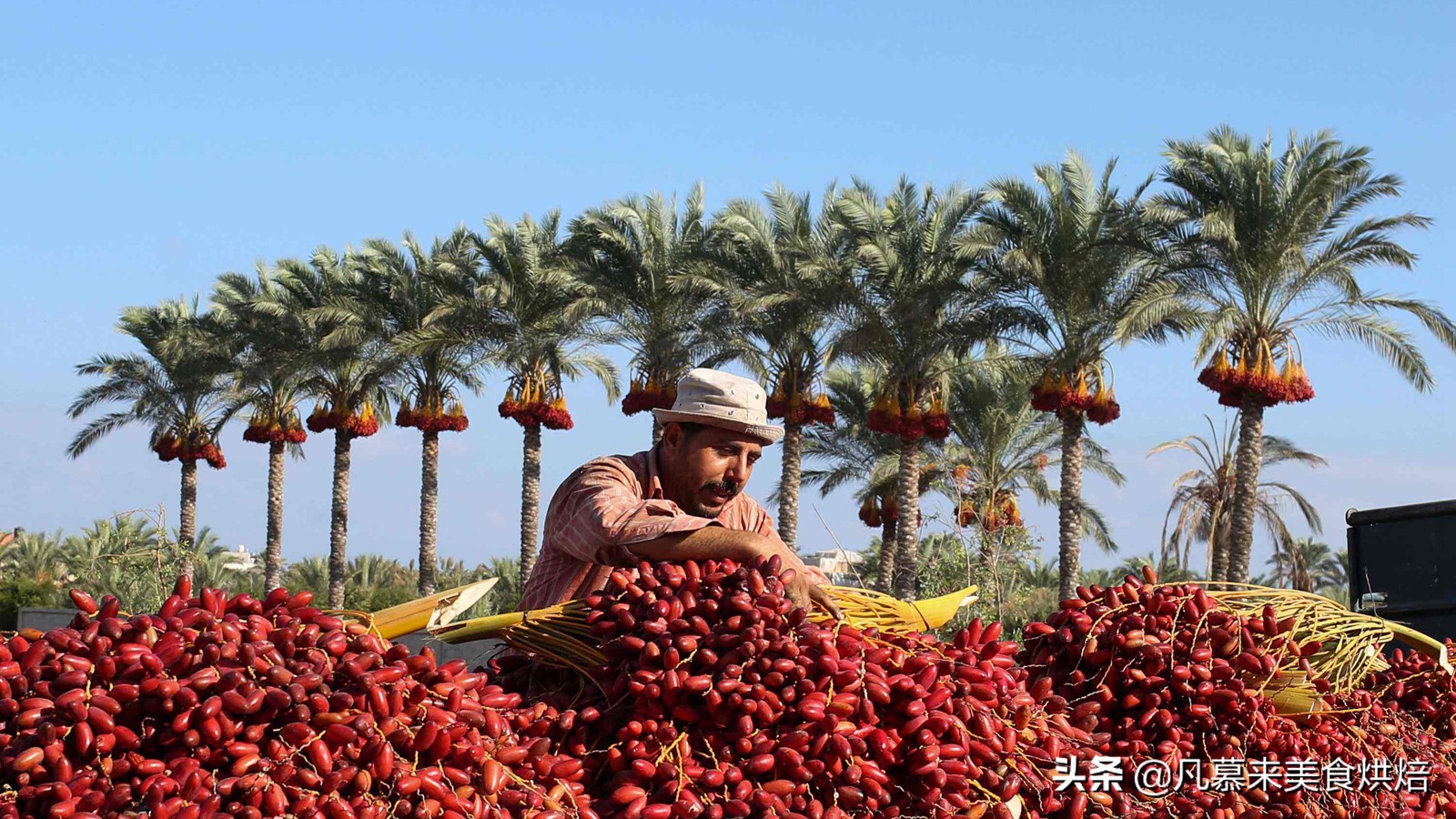 世界各地美食（宝藏干货世界各地的美食大全）