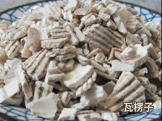 煅瓦楞子的功效与作用（瓦楞子的功能主治）