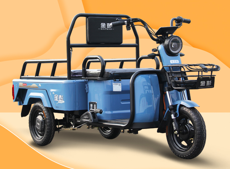 金彭,小鸟的精品休闲三轮车来了,适合购物,接娃,一车多用