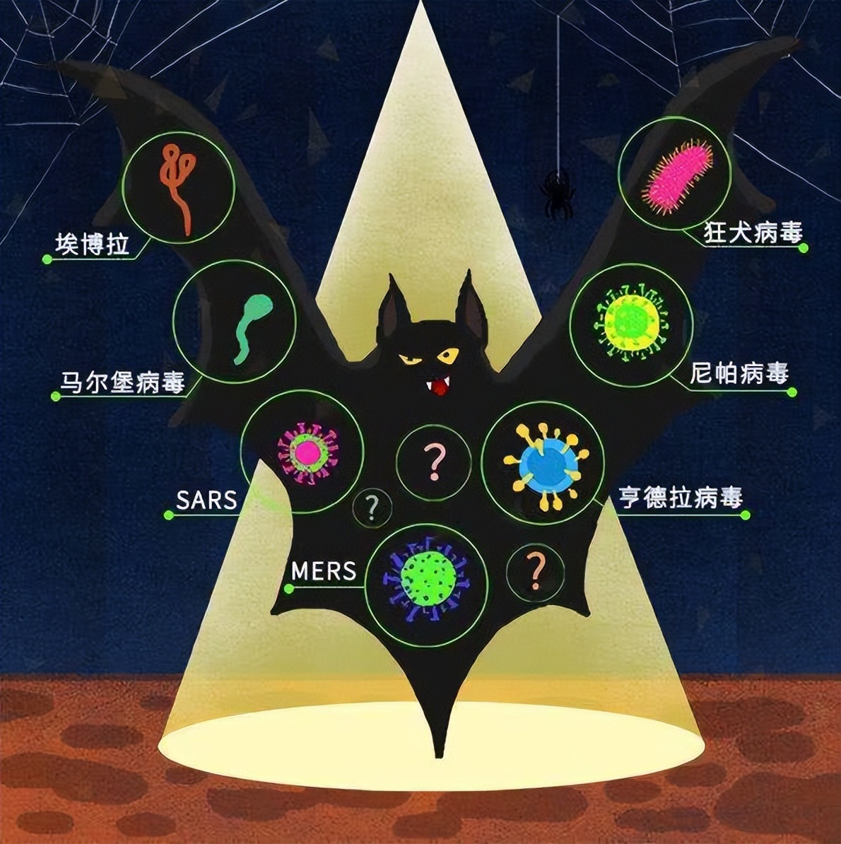 蝙蝠携带病毒上千种,包括冠状病毒,人类为何不消灭蝙蝠?