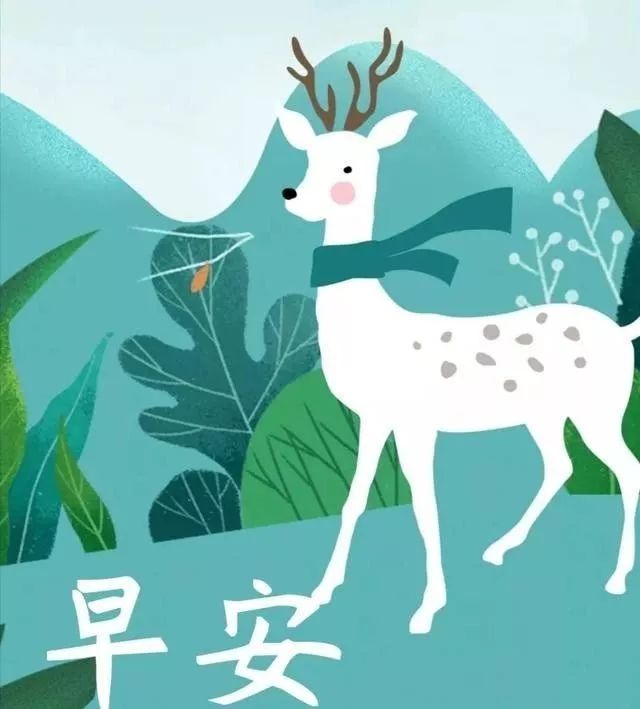 早上好祝福，送上开心，送上真诚的问候 平安吉祥 幸福安康图片