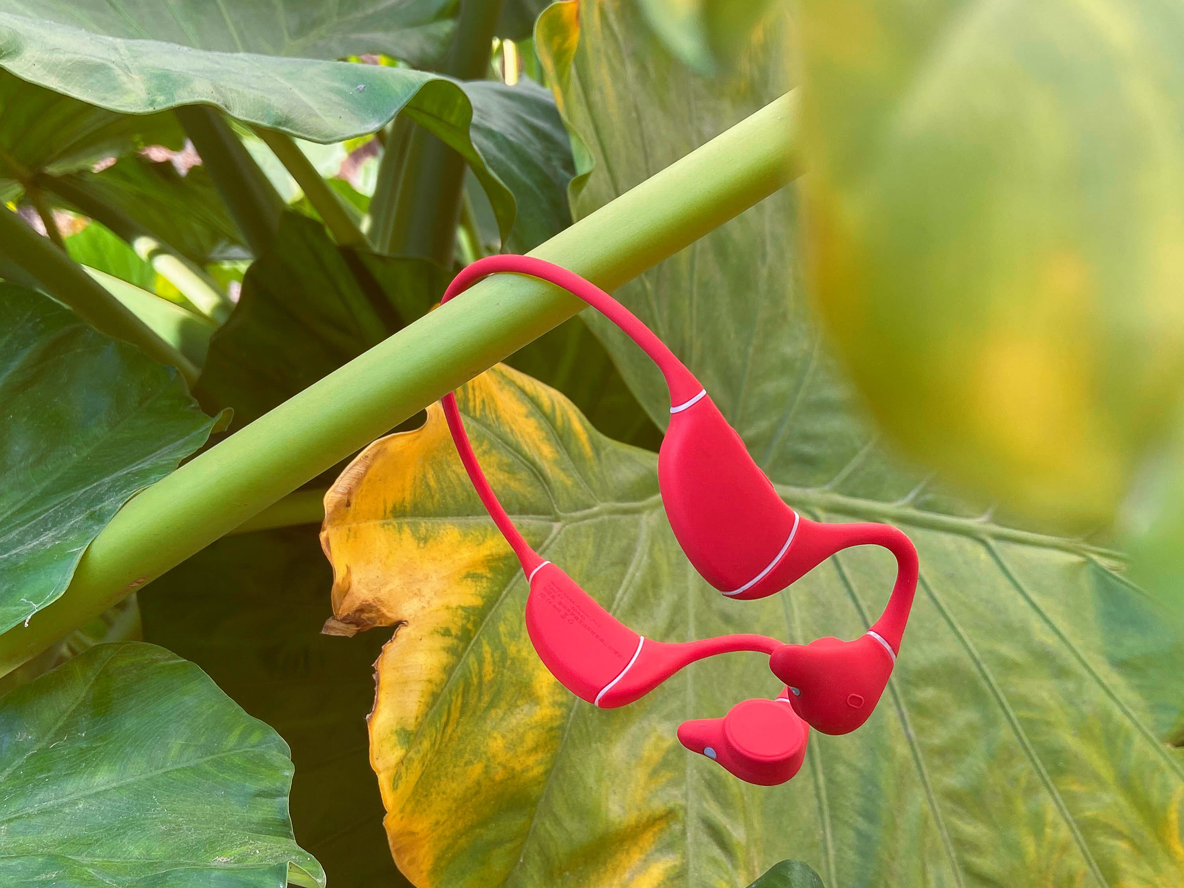 声声入耳不伤听力 健身防水跑步必备—南卡Runner Pro3