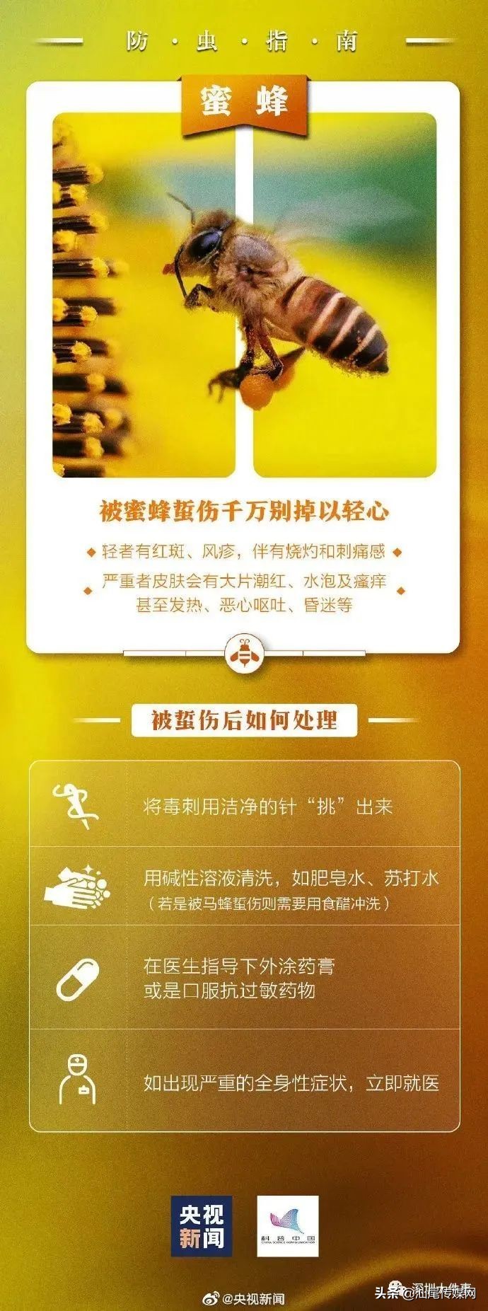 当心这小虫，有人被咬后进急诊！广东户外很常见