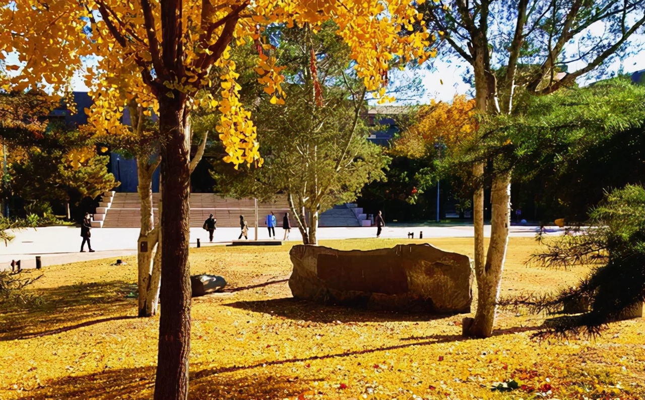 8大美院在外省招生人数：天美外省名额85%，广美外省名额只有20%