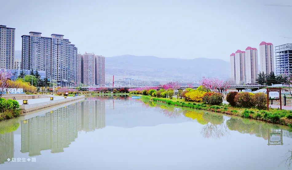 疫情挡不住春天的脚步，小编带你去看古城秦州的春暖花开