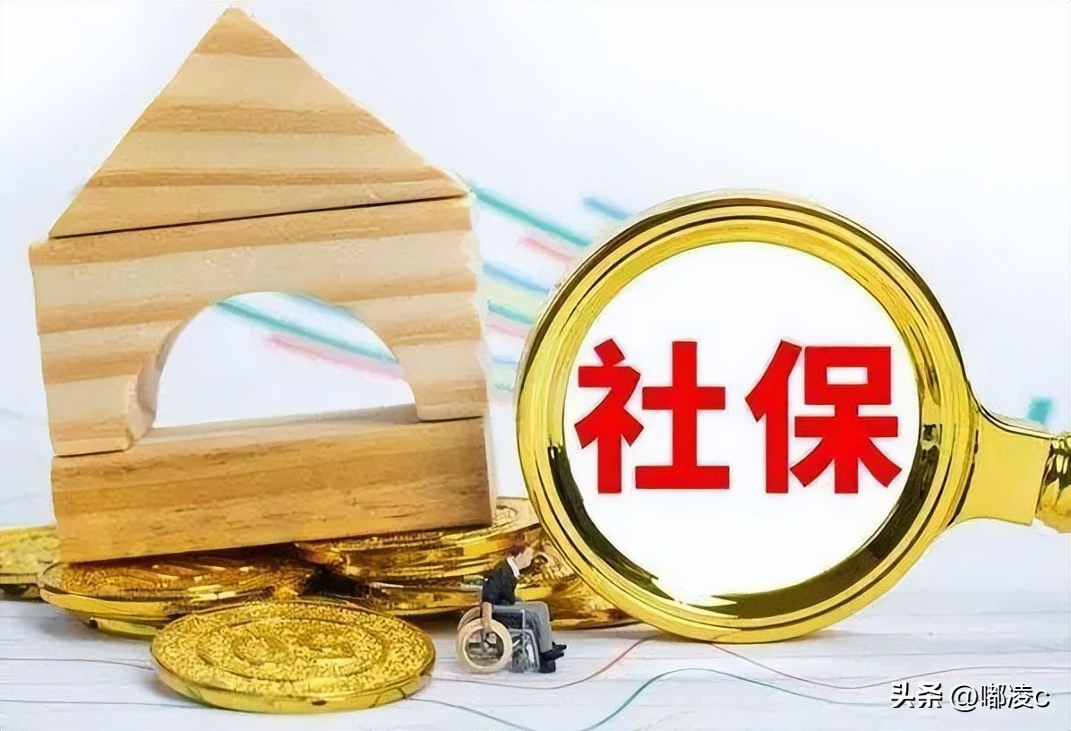 让人又爱又恨的社保