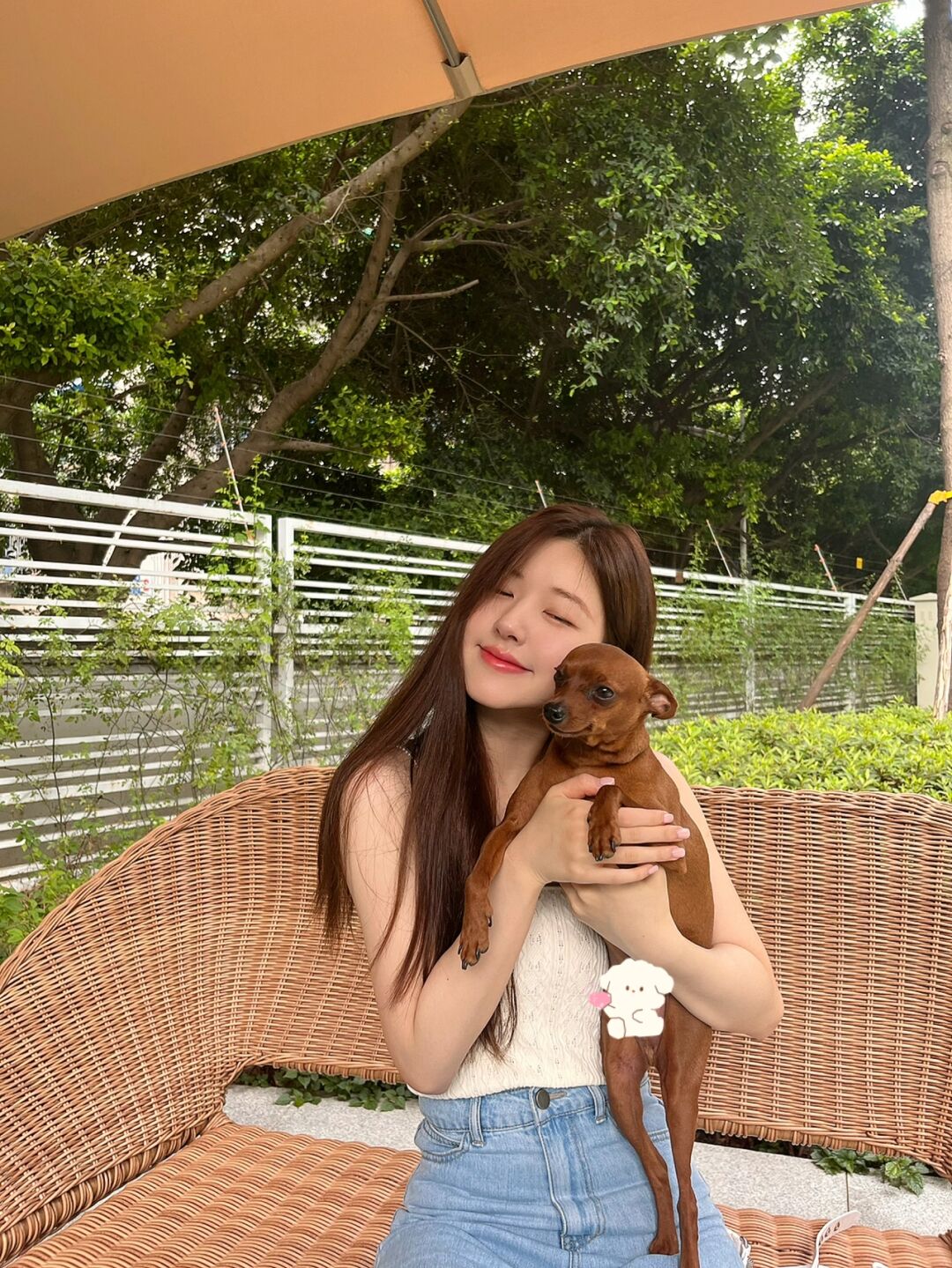 赵露思纯欲穿搭出境，完美学妹装吸睛