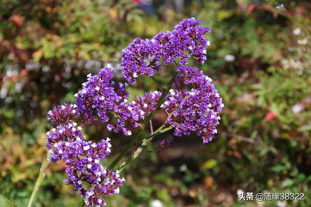 这样才能修一个家庭好的风水