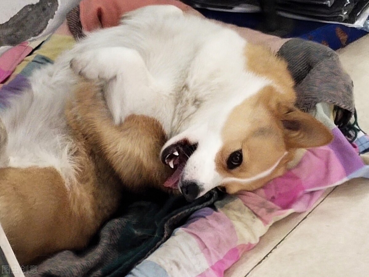 老销售是怎么选电销机器人的？如何避坑？这些点需要注意