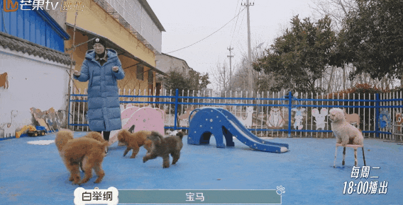 10分钟看哭7次！当他们不再“有用”的时候，却也无法正常生活