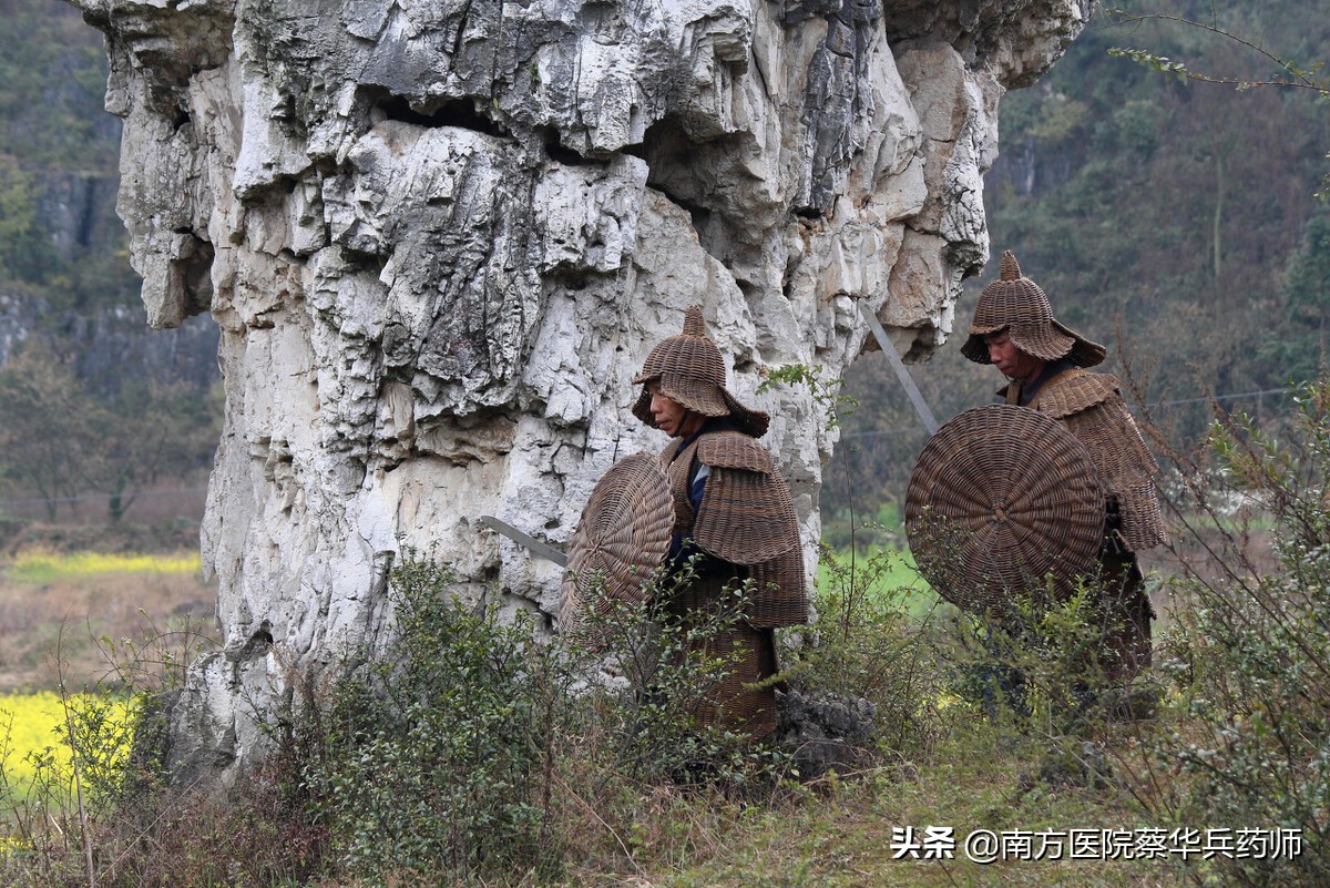 治筋骨疼痛的中药(治筋骨疼痛的中药有哪些)