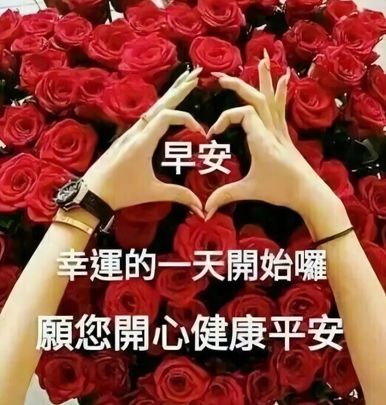 非常时期问候朋友早上好图片温馨带字 早上空气清新 叫你事事顺心图片