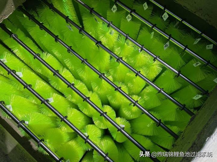 煦瑞生态水如何把拆除的旧池建造成标杆鱼池？鱼池过滤系统揭秘