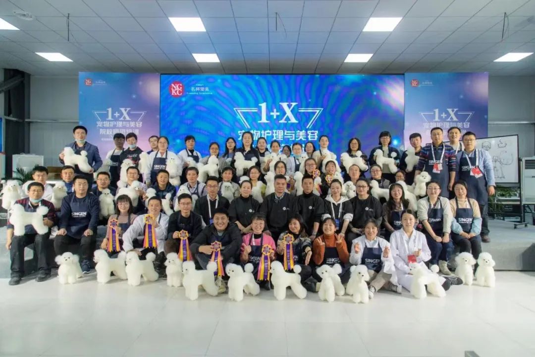 培养数万从业者，经典宠物美容陈佳炜：这是世界上最治愈的工作了