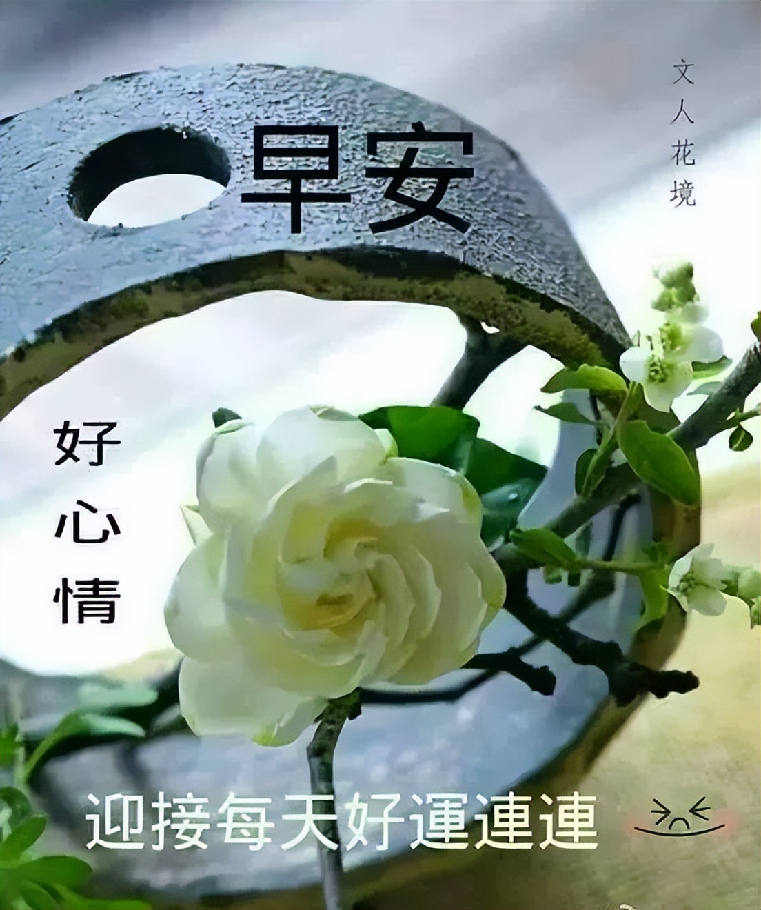 秋天每日更新早晨好美图表情 平安顺心、健康如意图片