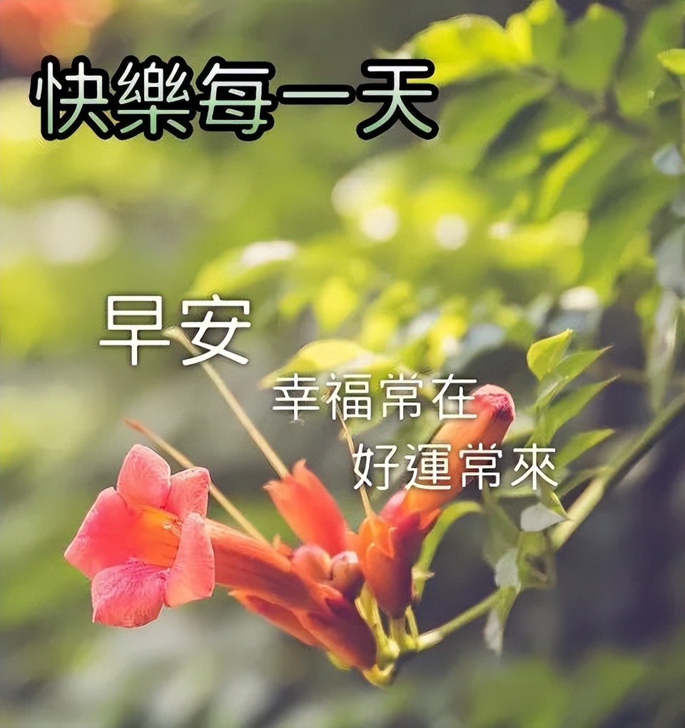 唯美早晨好正能量动图美图大全，积极的人像太阳，照到哪里哪里亮图片