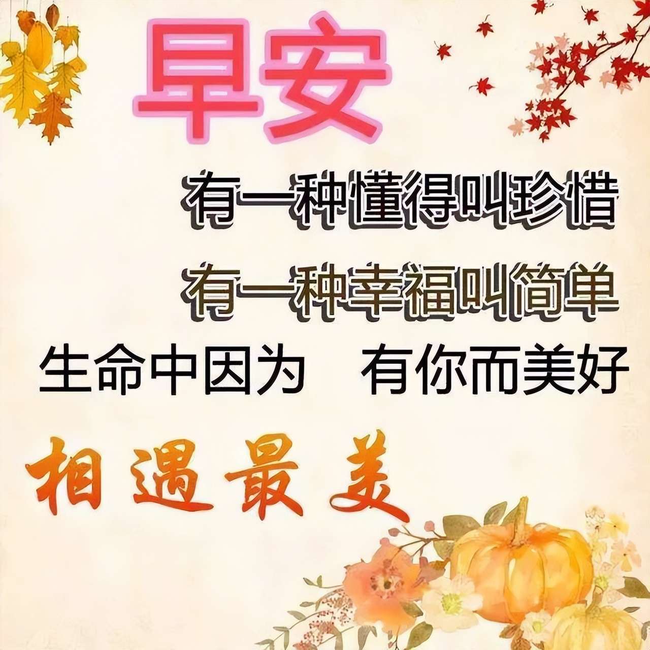 微信早晨好表情动态图 朋友圈早安暖心句子 祝愿福慧平安、事事顺心图片